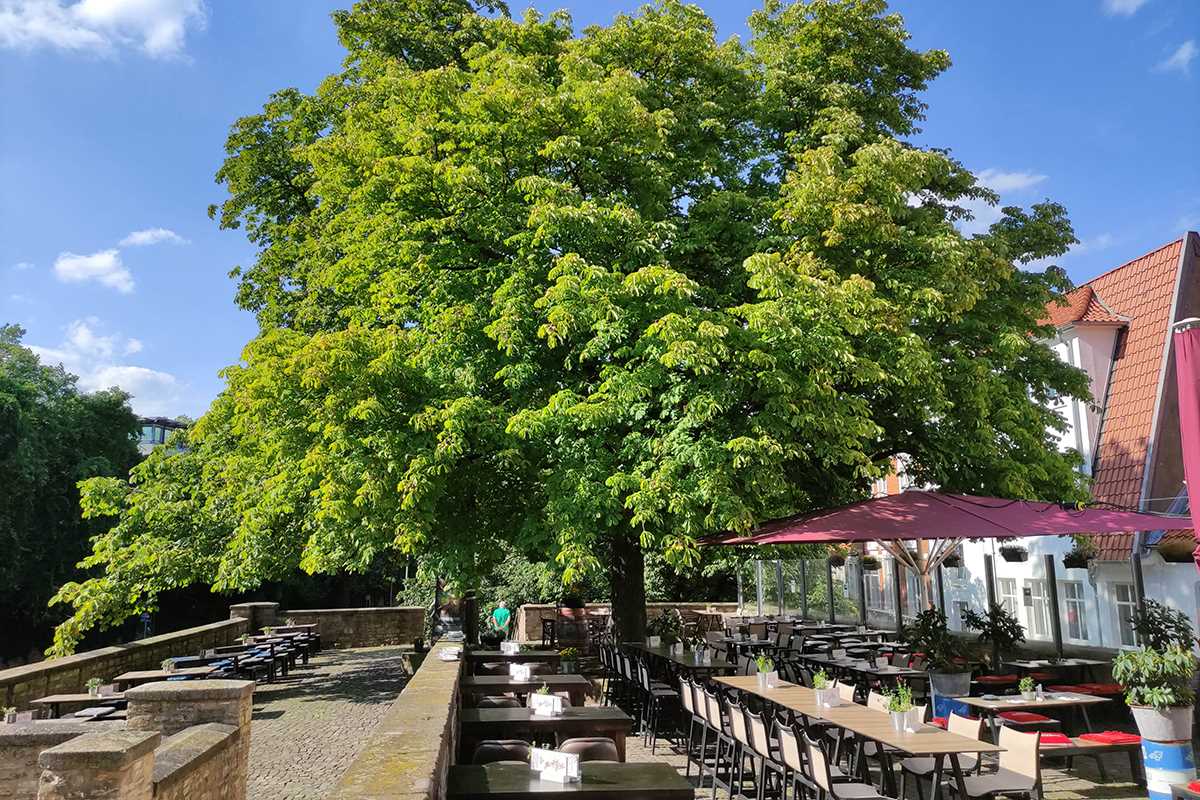 Biergarten